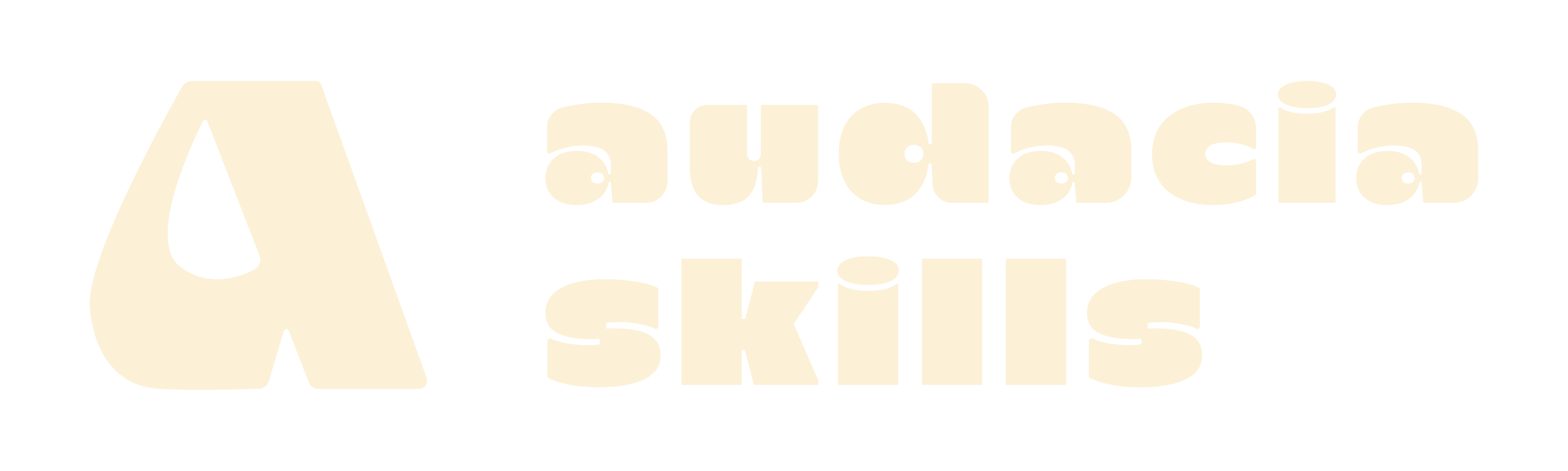 Audacia Skills formations Audacia Skills